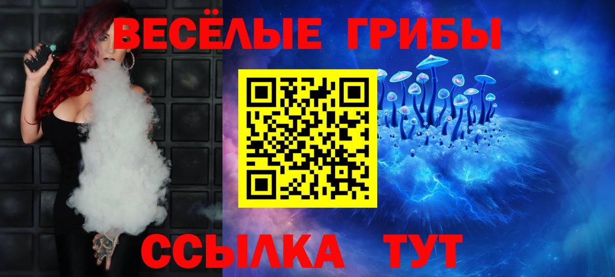 Псилоцибиновые грибы Psilocybine cubensis Муром